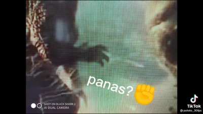 panas?