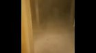 cursed_object