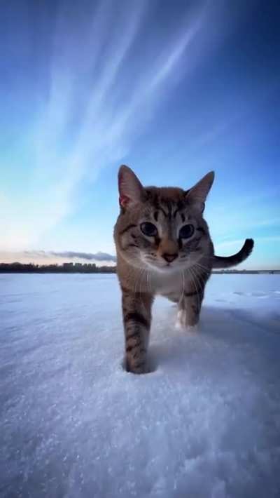 Tiny snow crunchies