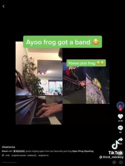 Shy little frog