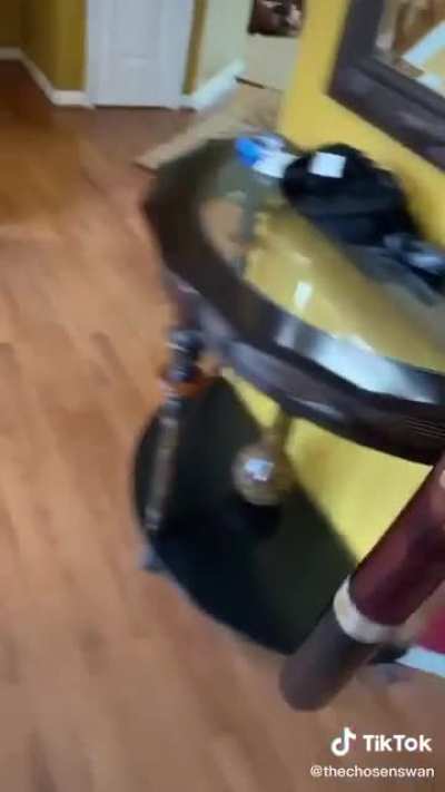 Dog mean