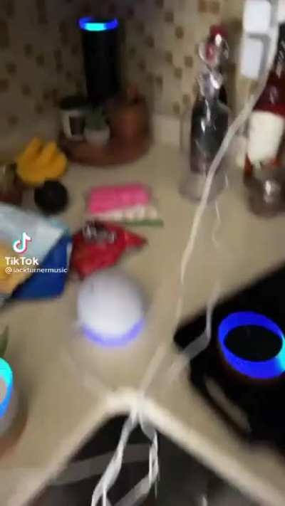 Hey Alexa