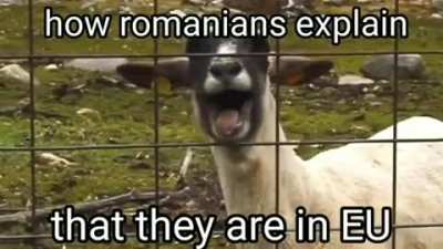 haha romania gypsy people