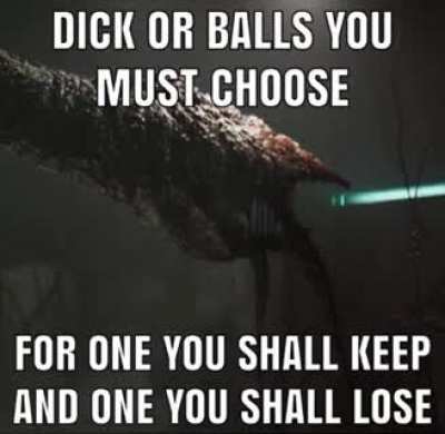 Dick or Balls You Must Choose