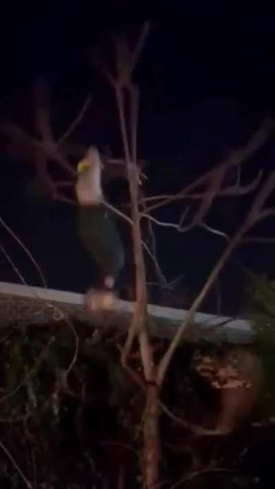 Drunk guy gotta do drunk things