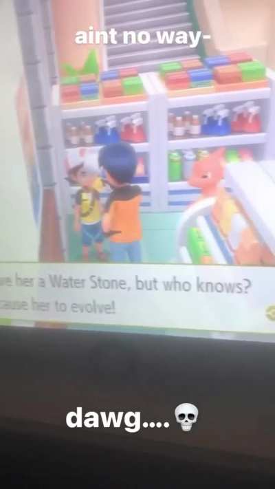 Furry🪨Irl