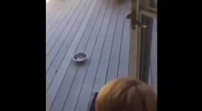 What the kid doin?