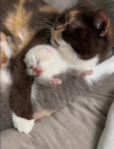 the most tender hugs