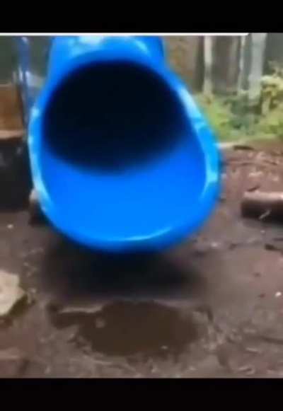 Aaaaahhh