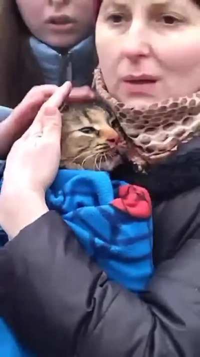 In Dnipro, rescuers saved woman’s cat