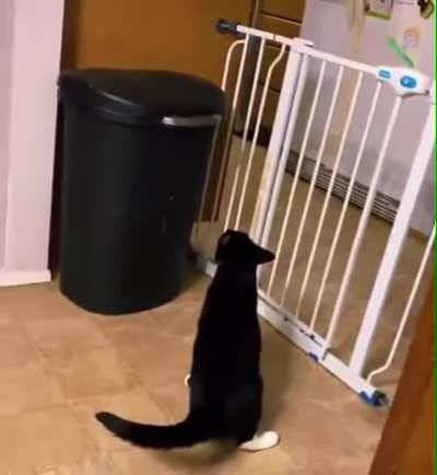 Perfect execution