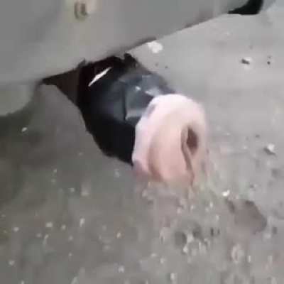 The forbidden hole.