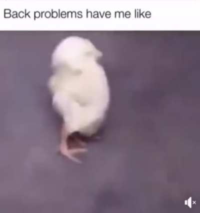 Idk