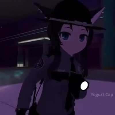 Stop! You have violated the law.