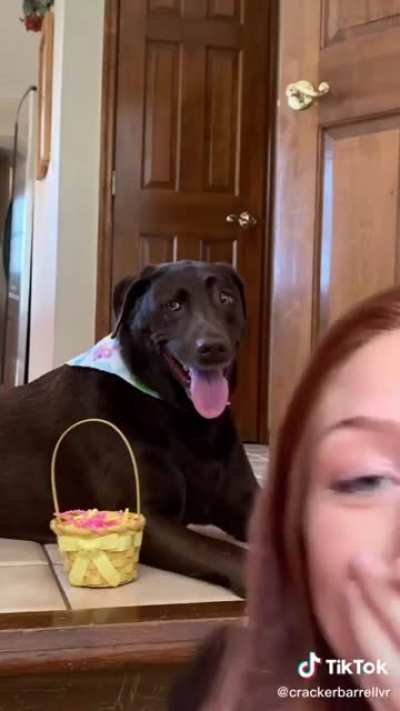 TikTok girl giving away free money for just building her dog in Minecraft