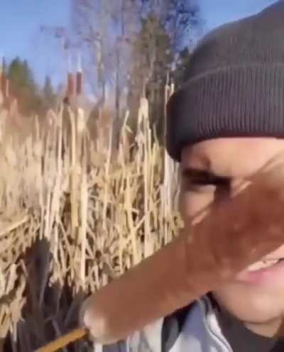 Forbidden corn dog