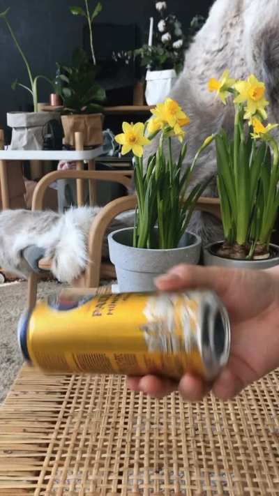 Crack open a cold one