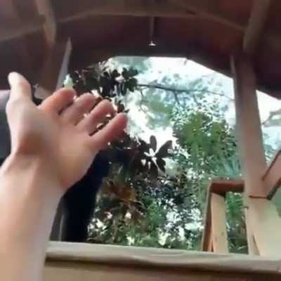 Спаси<wbr>бо, бро!