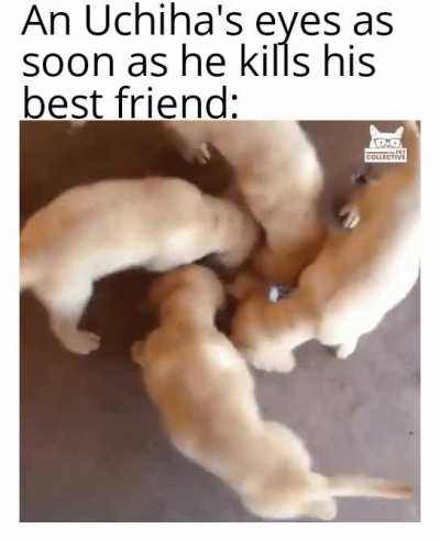 ...............