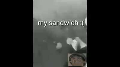 El sándwich :(