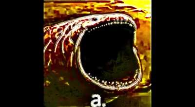 “a.” -Bob Wicks