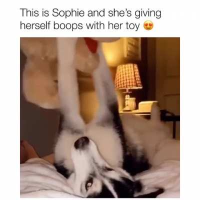 Sophie is perfect