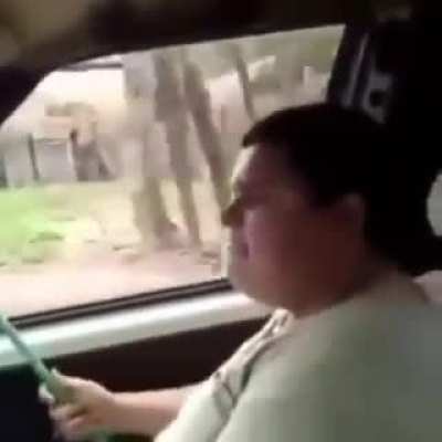 Ô