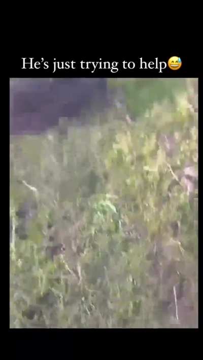 maybe maybe maybe