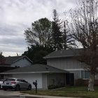 My girlfriend lives in the same neighborhood as the husky that someone posted earlier.