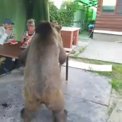 Yum