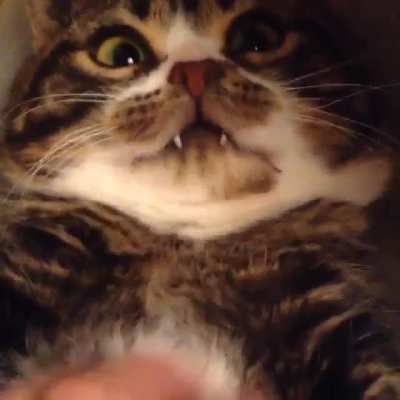 Look at his teefers