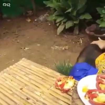 He will not give up
