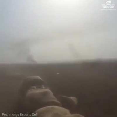Sehela war 2017
