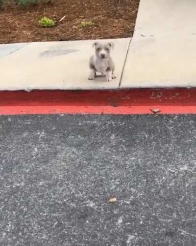 Ouch Poor Fella He Tried So Hard.