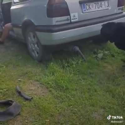 New mod adds 20 HP