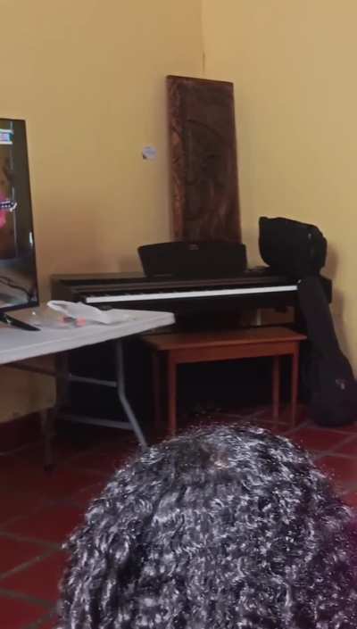 Inició el Festival Internacional de Música y Danza Africaribe 2025 Carabobo