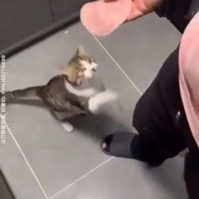 hayatımın özeti olr gibi D: