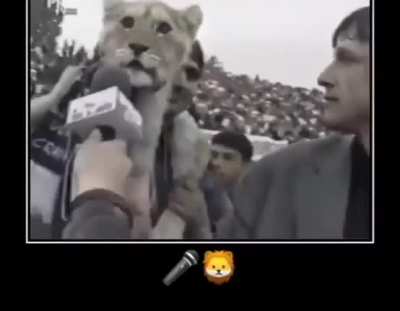 pro tv crazy