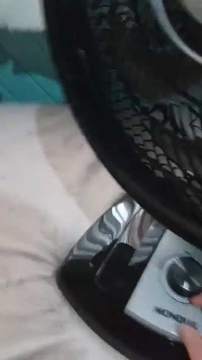 eu tenho um opala no meu quarto