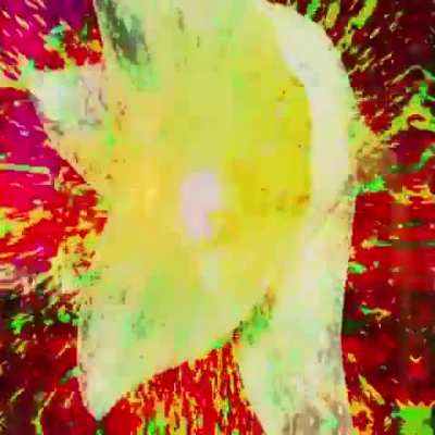 ‍