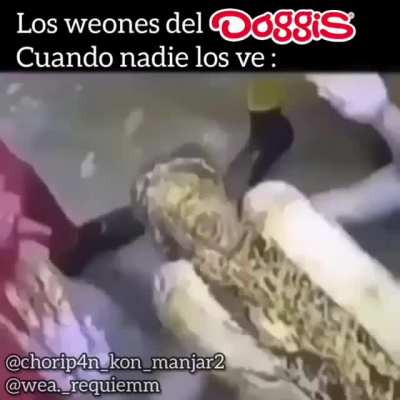 Rico