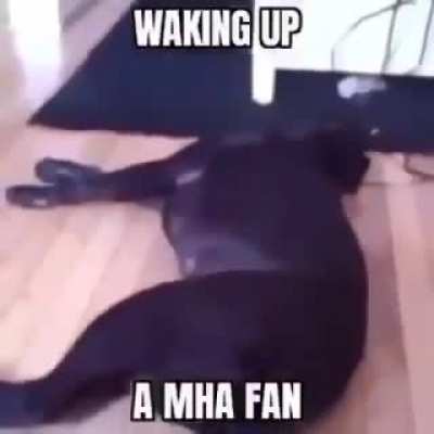 Thats how you wake one up