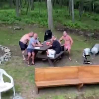 Дикий мишка прибился к пикнику. А что, халяву все любят.