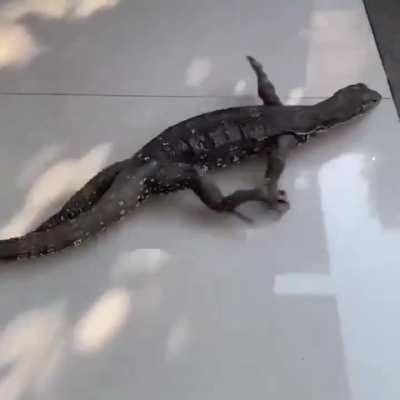 bora Enamorado cria algo pra nós aí