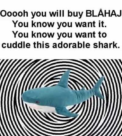 Rule