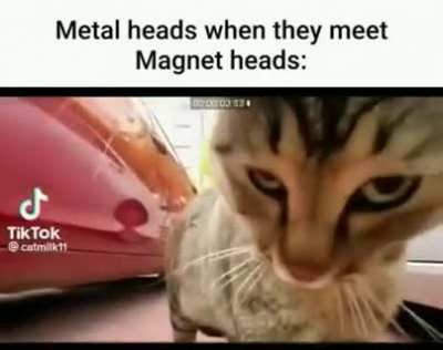 Magnet rule