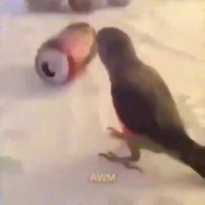 🦜