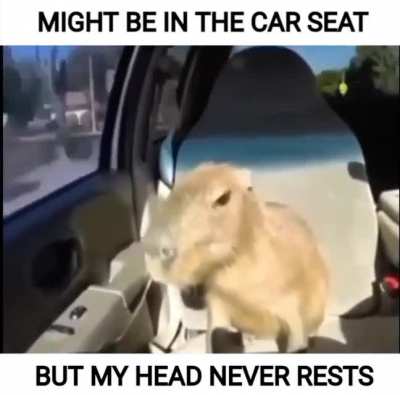 like if you agree