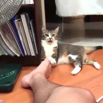 Smell of death