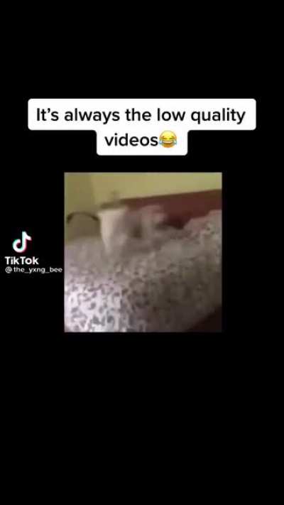 No-